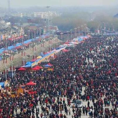 热门物品管理游戏盘点：人气排行解析新风向