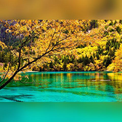 最新盘点：彩色游戏盛宴，探索无限新体验