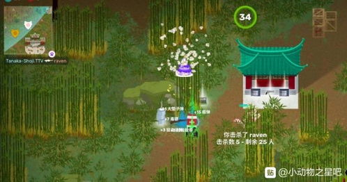 精选放松游戏，畅享好时光秘籍推荐