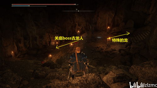 《艾尔登法环》DLC黄金树之影法术流终极攻略，轻松通关！