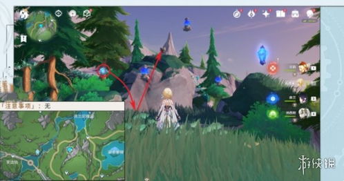 《原神》幽灵枝任务攻略：高效通关秘籍大公开