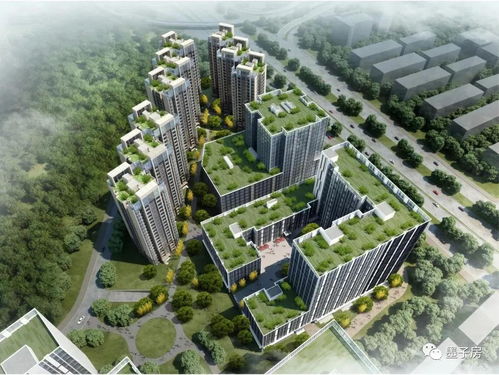 《FF13VS：揭秘未取消开发背后的真相》