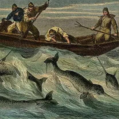 城堡传说速成攻略：萌新必备大乱斗秘籍