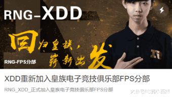 恩菲尔技能全面揭秘：无期迷途深度解析新视角