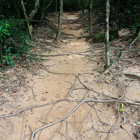 热门寻宝游戏盘点：揭秘排行榜前十宝藏秘境