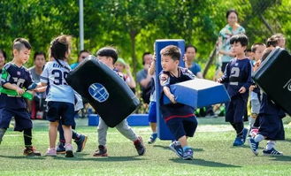 最新美式橄榄球游戏排行，揭秘人气巅峰之作