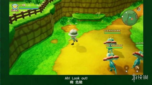 幻想生活i奇遇记:转圈龙宝箱揭秘,少女偷时秘密揭晓！