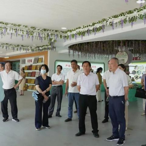 十大精选自动化游戏，揭秘沉浸式互动新体验