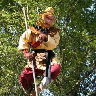 《悟空四僧连招攻略：深度解析四僧联手战法》