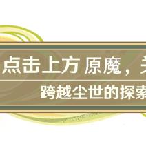 《原神3.6前瞻揭秘：兑换码+新内容抢先看》