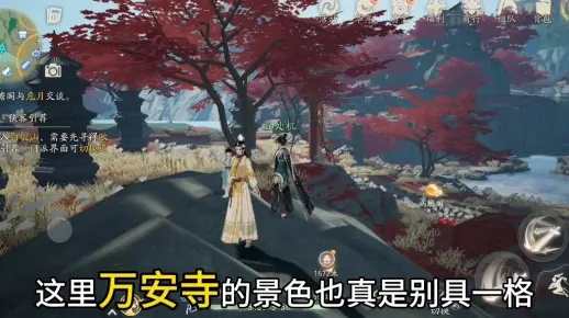 万安寺迷雾解锁攻略，探秘新境界玩法揭秘