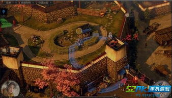 动物森林攻岛攻略秘籍：高效战术全解析