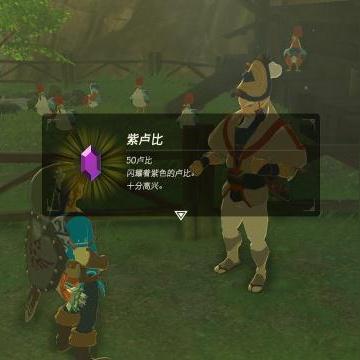 《塞尔达传说》轻松刷卢比攻略，快速提升财富！