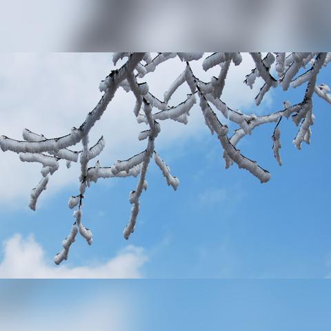 《绝区零》轻松下载攻略，独家秘籍大公开！