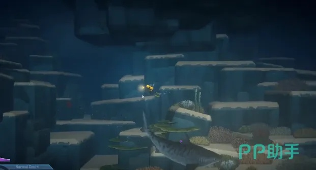 《戴夫潜水探秘：章鲨海域夜潜鱼类全解析》