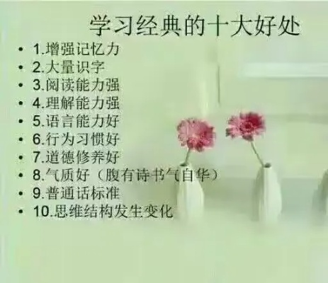 十大精选教育游戏盘点：探索最佳学习体验新境界