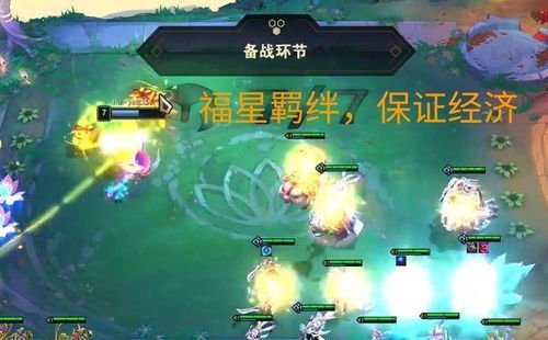 动物森林养成攻略：四大阵容打造新高度