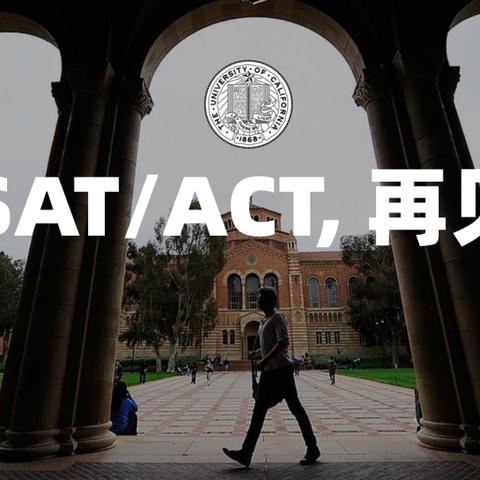 2024年热门游戏盘点：精选含暂停功能佳作推荐