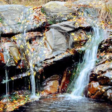 热门滑板游戏盘点：人气飙升的滑板竞技盛宴