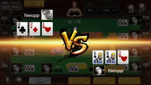 热门纸牌游戏盘点：揭秘人气玩法与精彩推荐