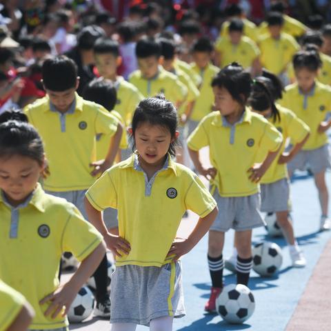 盘点十大热门体育游戏，揭秘必玩排行榜新风向