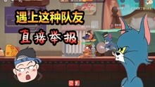 热门猫游戏盘点：揭秘人气巅峰之作，新锐价值引领潮流