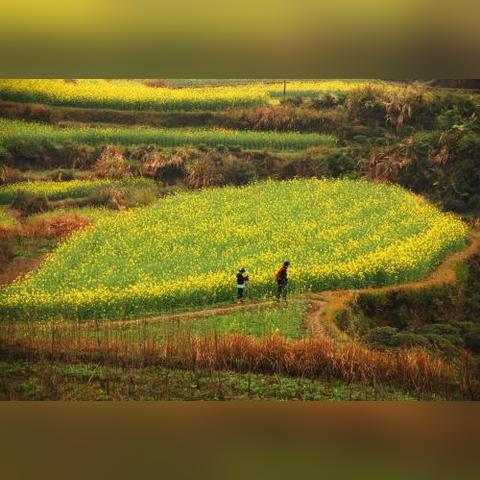 新玩家必看！一篮山居独门攻略，轻松爆炒江湖新境界