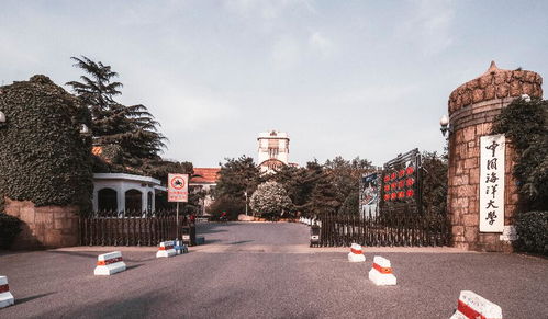 盘点十大经典教程游戏：揭秘沉浸式学习新体验