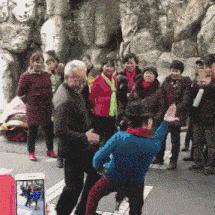 双贼策略揭秘，高效偷菜获白金币新技巧