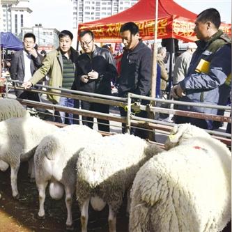 小米中央空调为啥对标大金而非格力?官方回应