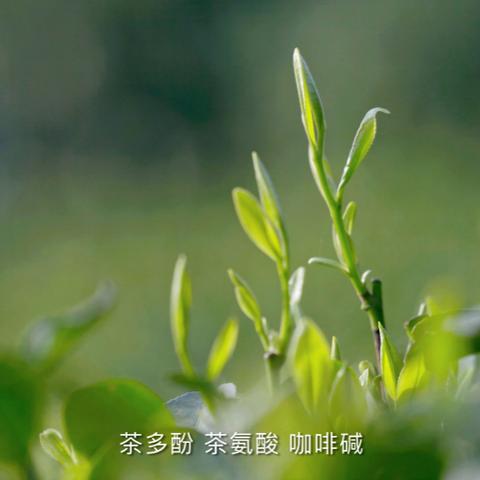 盘点热门超现实游戏：探索奇境，解锁无限乐趣