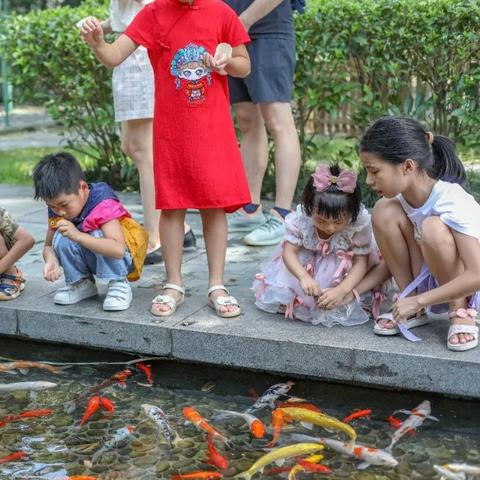 热门美食游戏排行大揭秘，解锁美食之旅新体验