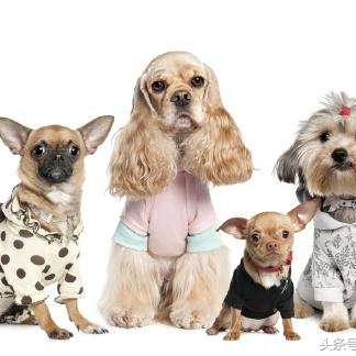 畅玩推荐：热门交谈游戏盘点，解锁互动乐趣新境界