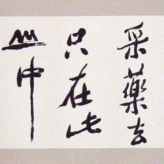 声控游戏盘点：揭秘十大必玩声控游戏排行，体验全新听觉盛宴