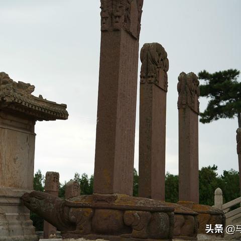 名人殿堂荣耀再启，忍者绝技全新升级