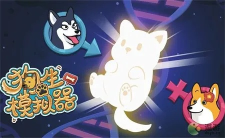 神犬培育秘籍：狗生模拟器攻略全解析