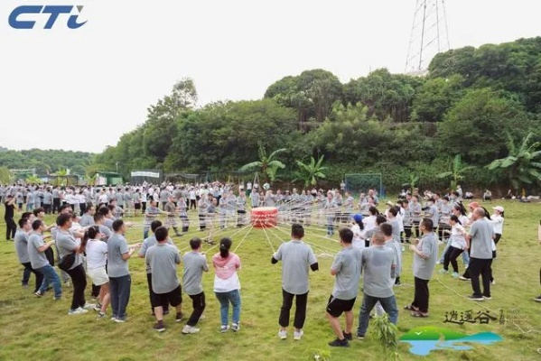 热门团队互动游戏盘点：揭秘人气玩法攻略