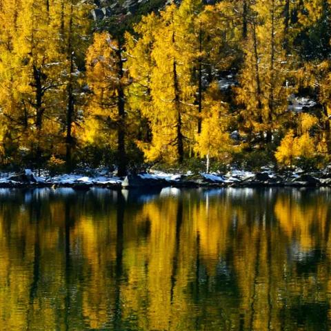 畅游深海秘境：盘点热门水底游戏，探索水下乐趣新境界