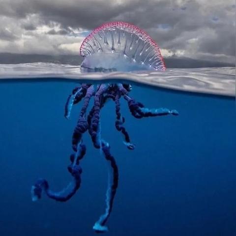 十大热门水底游戏盘点：揭秘水下探险新潮流