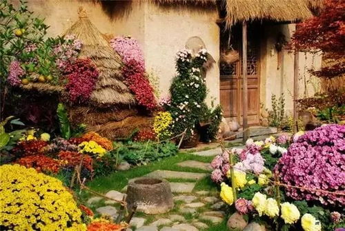 为何老骨灰只认准这几个chuanqi版本？内幕实测揭秘