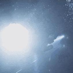 深海狂欢来袭！《潜水员戴夫》手游版四大平台联动，畅游深海新体验