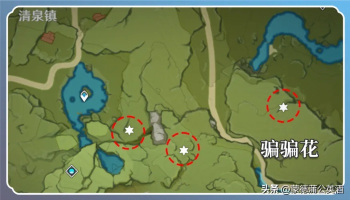 辉烬采集攻略：花草路边不容忽视的宝藏秘籍