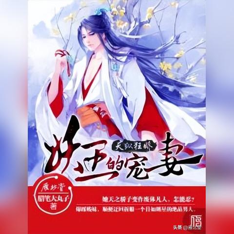 热门下载！精选文字小说游戏，畅玩排行推荐