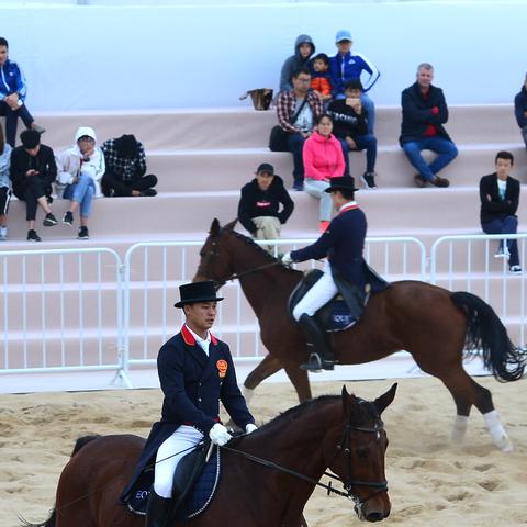热门马匹游戏盘点：揭秘人气飙升的竞技盛宴