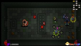 十大热门耐玩迷宫探险游戏，揭秘经典魅力新体验