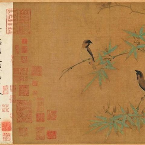 热门鸟游戏盘点：探索趣味无限的新奇鸟游世界