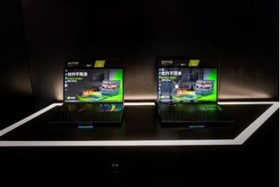 侠盗猎车手V加载屏模特,凭啥成游戏界传奇?RTX5090长白丝?囧图揭秘！游戏好日选它