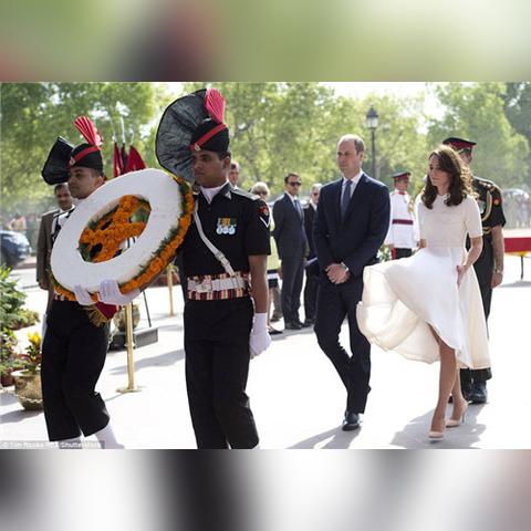 梦露凯特新猫速成攻略，解锁猫宅97神秘宝藏