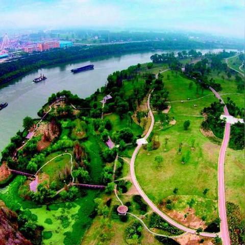 沼泽关卡攻略：元气骑士生存秘籍大揭秘