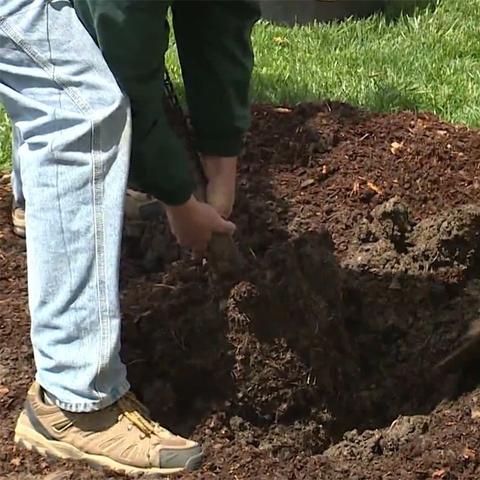 《切尔诺贝利之心怪异神器全攻略》
